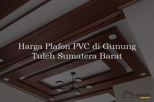 Harga Plafon PVC di Gunung Tuleh Sumatera Barat