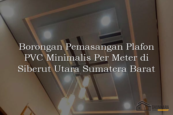 Borongan Pemasangan Plafon PVC Minimalis Per Meter di Siberut Utara Sumatera Barat