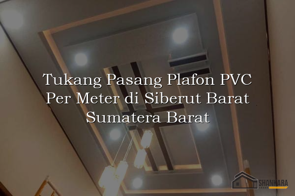 Tukang Pasang Plafon PVC Per Meter di Siberut Barat Sumatera Barat