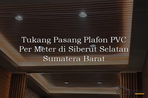 Tukang Pasang Plafon PVC Per Meter di Siberut Selatan Sumatera Barat