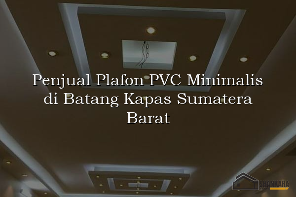 Penjual Plafon PVC Minimalis di Batang Kapas Sumatera Barat
