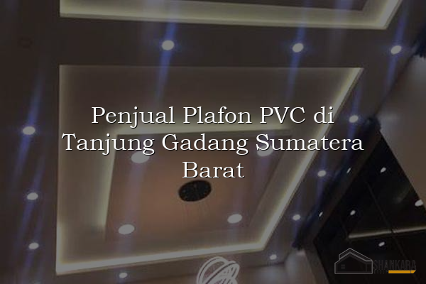 Penjual Plafon PVC di Tanjung Gadang Sumatera Barat