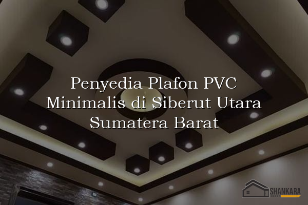 Penyedia Plafon PVC Minimalis di Siberut Utara Sumatera Barat