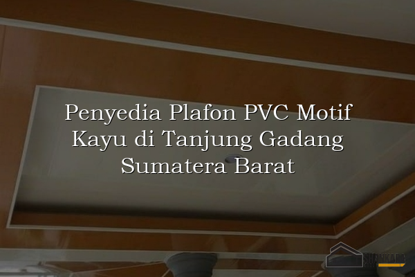 Penyedia Plafon PVC Motif Kayu di Tanjung Gadang Sumatera Barat