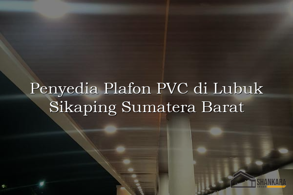 Penyedia Plafon PVC di Lubuk Sikaping Sumatera Barat