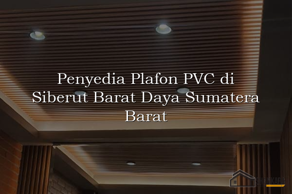 Penyedia Plafon PVC di Siberut Barat Daya Sumatera Barat
